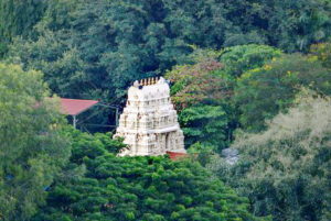 Hindu Tempel Arul Mihu Navasakthi