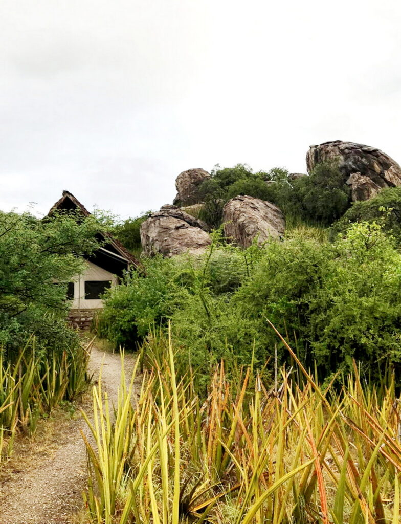 Olduvai Camp