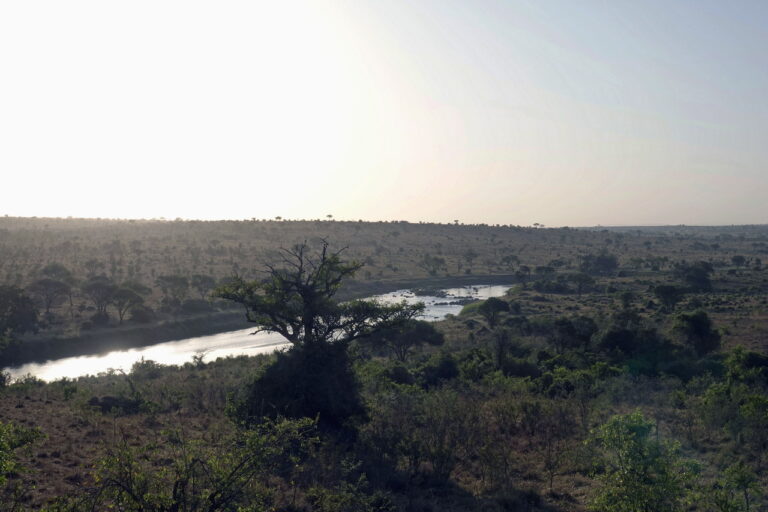Mara River