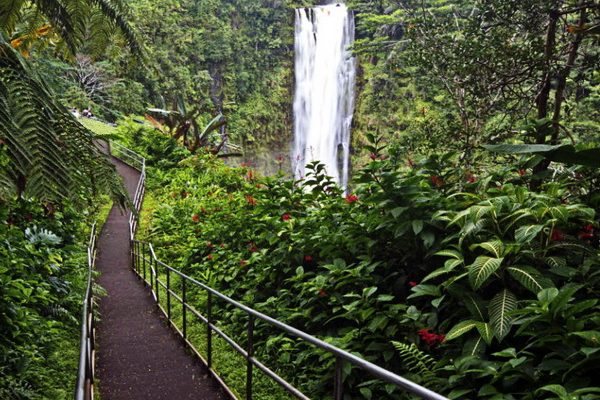 Akaka Falls State Park