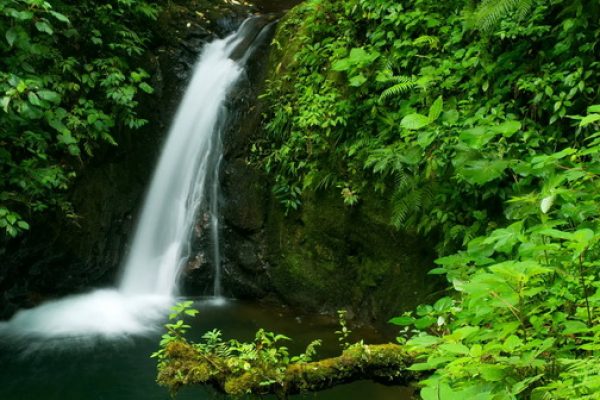 Biologische Reservat Monteverde