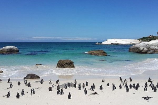 Boulders Beach